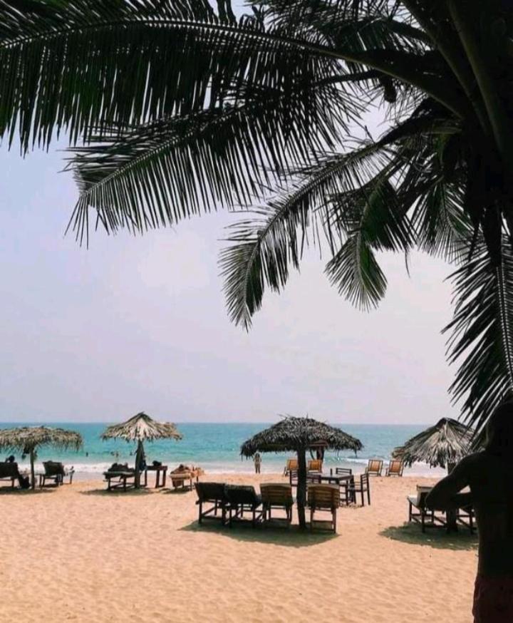 فندق Blue Point Rest تانجالي المظهر الخارجي الصورة